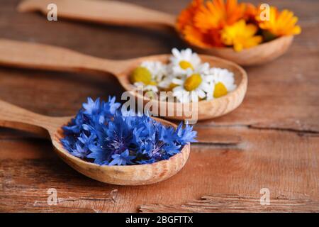 Frische Heilkräuter in Holzlöffeln auf dem Tisch Nahaufnahme Stockfoto