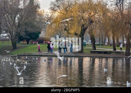 Der Stadtpark Teich neben dem Heldenplatz in Budapest, Ungarn. Stockfoto