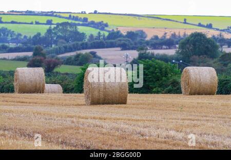 Haystacks in Bodenfeld Irland. Landwirtschaftliche Sommerernte von Heuballen aus irischem Landbau für die Verwendung als Winterfutter. Landschaft Stockfoto