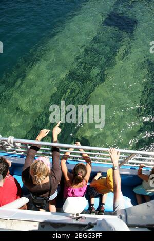 Kanada, Ontario, Tobermory an der Georgian Bay am Big Tub Hafen, nahe Flowerpot Island, am Lake Huron, Fathom Five Marine Park, Nordamerika Stockfoto