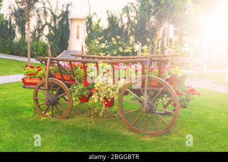 Wagen mit Blumen im Garten am Morgen. Sonnenaufgang Stockfoto