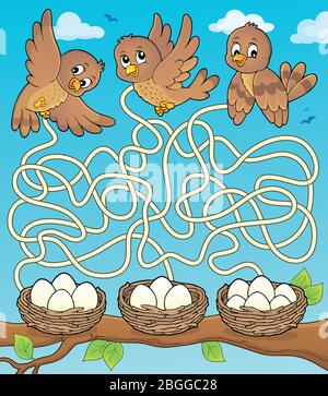 Labyrinth 34 mit Vögeln und Nestern - eps10 Vektor-Illustration. Stock Vektor