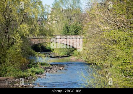 Glasgow, Großbritannien. April 2020. Im Bild: Der Fluss Kelvin, der durch den Kelvingrove Park fließt. Szenen aus dem Kelvingrove Park in Glasgow während der Sperrung des Coronavirus (COVID-19). Quelle: Colin Fisher/Alamy Live News Stockfoto