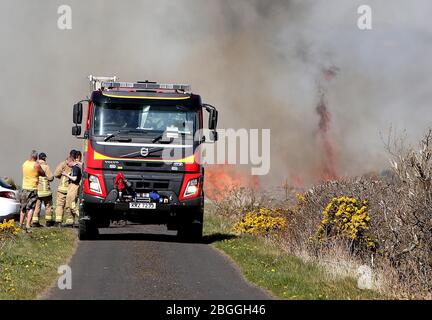 Ballycastle Nordirland-21. April 2020. 70 Feuerwehrleute aus ganz Nordirland besuchen die außer Kontrolle geratenen Waldbrände Feuerwehrleute kämpfen in der Nähe von Ballycastle in der Grafschaft Antrim gegen zwei große Waldbrände. Auch Spezialeinheiten wurden aufgrund der Beschaffenheit des Geländes beauftragt. Trockene Böden behindern ihre Bemühungen und Rauch aus dem Feuer kann von Antrim Stadt und Coleraine gesehen werden.Bildquelle: Steven McAuley/Alamy Live News Stockfoto