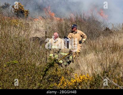 Ballycastle Nordirland-21. April 2020. 70 Feuerwehrleute aus ganz Nordirland besuchen die außer Kontrolle geratenen Waldbrände Feuerwehrleute kämpfen in der Nähe von Ballycastle in der Grafschaft Antrim gegen zwei große Waldbrände. Auch Spezialeinheiten wurden aufgrund der Beschaffenheit des Geländes beauftragt. Trockene Böden behindern ihre Bemühungen und Rauch aus dem Feuer kann von Antrim Stadt und Coleraine gesehen werden.Bildquelle: Steven McAuley/Alamy Live News Stockfoto