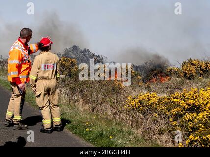 Ballycastle Nordirland-21. April 2020. 70 Feuerwehrleute aus ganz Nordirland besuchen die außer Kontrolle geratenen Waldbrände Feuerwehrleute kämpfen in der Nähe von Ballycastle in der Grafschaft Antrim gegen zwei große Waldbrände. Auch Spezialeinheiten wurden aufgrund der Beschaffenheit des Geländes beauftragt. Trockene Böden behindern ihre Bemühungen und Rauch aus dem Feuer kann von Antrim Stadt und Coleraine gesehen werden.Bildquelle: Steven McAuley/Alamy Live News Stockfoto