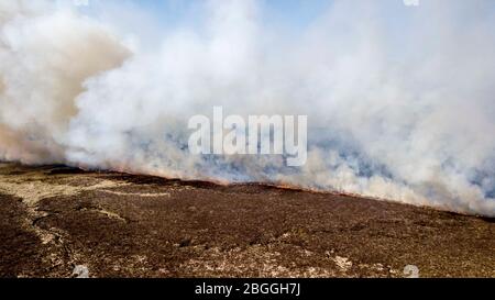 Ballycastle Nordirland-21. April 2020. 70 Feuerwehrleute aus ganz Nordirland besuchen die außer Kontrolle geratenen Waldbrände Feuerwehrleute kämpfen in der Nähe von Ballycastle in der Grafschaft Antrim gegen zwei große Waldbrände. Auch Spezialeinheiten wurden aufgrund der Beschaffenheit des Geländes beauftragt. Trockene Böden behindern ihre Bemühungen und Rauch aus dem Feuer kann von Antrim Stadt und Coleraine gesehen werden.Bildquelle: Steven McAuley/Alamy Live News Stockfoto