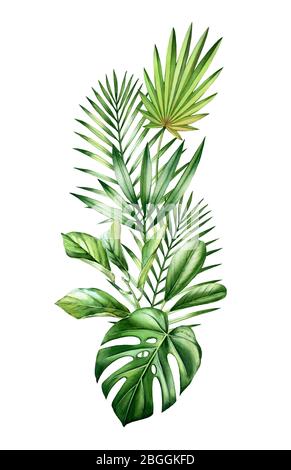 Aquarell tropisches Bouquet. Dschungel Grün in vertikaler Anordnung. Exotische Palmenblätter, Monstera, isoliert auf weiß. Handgezeichnet Stockfoto