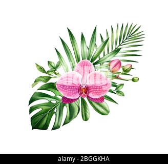 Aquarell tropisches Bouquet. Rosa Orchidee und Palmblätter Anordnung. Handgemalter tropischer Hintergrund. Botanische Illustrationen isoliert auf weiß. Stockfoto