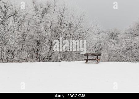 Eine schneebedeckte Bank bei Normafa in den Budaer Bergen im Winter Stockfoto