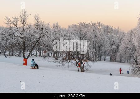 Im Winter Rodeln in Normafa in den Budaer Bergen Stockfoto