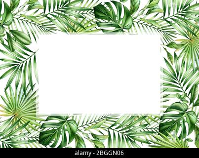 Aquarell tropisches Banner. Horizontaler Rahmen mit Handfläche und Monstera-Blättern, Platz für Text. Handbemalte Kartenvorlage. Realistisch botanisch Stockfoto