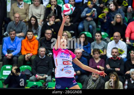 elitsa vasileva (novara) während der italienischen Volleyball Serie A1 Frauen Saison 2019/20, Volleyball italienische Serie A1 Frauen Meisterschaft in Treviso, Italien, Januar 01 2020 Stockfoto