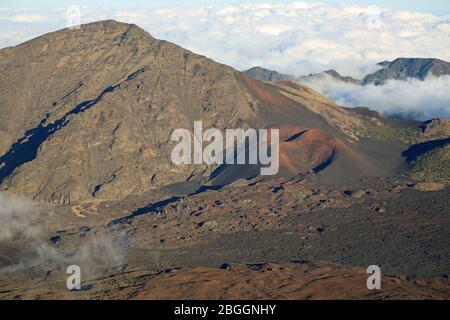 Puu Kumu Zinkzapfen, Hawaii Stockfoto