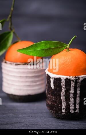 Mandarinen oder Mandarinen mit grünen Blättern auf schwarzem Holzhintergrund Stockfoto