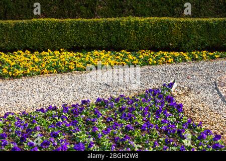 Metalleinfassung, die verschiedene Farben von Kies und Blumen in einem Park vor einer Hecke trennt Stockfoto