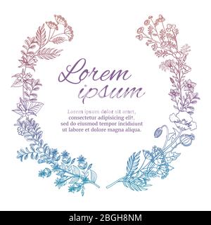 Farbenfroher Hochzeitskranz mit wilden Blumen und Kräutern auf weißem Hintergrund isoliert. Vektor floralen Zweig, Kräuter Zeichnung Natur Illustration Stock Vektor