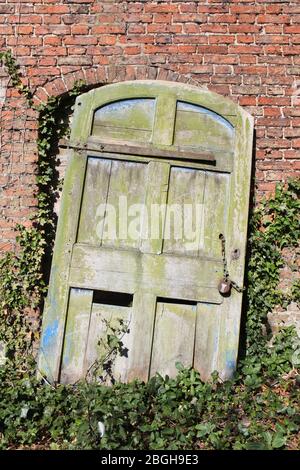 Alte Holztür mit Vorhängeschloss und Kette, rostigen Scharnieren und Efeu, der sich an einem Torbogen in einem alten ummauerten Garten lehnt. Stockfoto