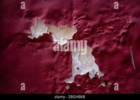 Abstrakter Hintergrund von erheblichen Oberflächenverformungen des in Maroon gemalten Gipses. Die Malfläche schälte sich aufgrund des feuchten Schleicht ab. Stockfoto