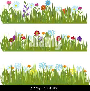 Sommer Gras mit wilden schönen Blumen Vektor Grenzen. Farbe Blume und grünes Feld, Wiese Schönheit Blüte Illustration Stock Vektor