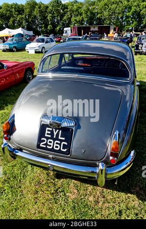 Westbury, Wiltshire / UK - 1. September 2019: Rückansicht einer 4-Türer-Limousine des Daimler 250 V8 1965 auf der White Horse Classic & Vintage Vehicle Show 2 Stockfoto