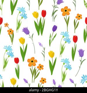 Frühling und Sommer Garten und Wildblumen nahtlose Muster. Blumen Natur Vektor Hintergrund. Illustration von floralen Frühjahr und Sommer Muster Stock Vektor