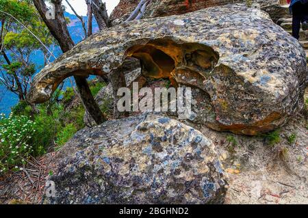 Wind erodierte Höhle in der Nähe von Anvil Rock und Blackheath Blue Mountains New South Wales Australien Stockfoto