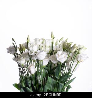 Bouquet von weißen Eustomas auf weißem Hintergrund. Stockfoto