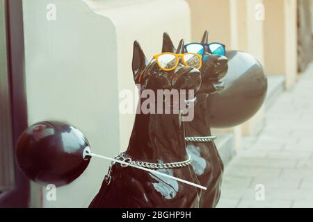 Hundefiguren. Lustige schwarze Hunde in leuchtend blauen und gelben Gläsern. Foto mit Ton Stockfoto