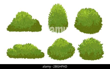 Garten grüne Büsche. Cartoon Strauch und Busch Vektor auf weißem Hintergrund isoliert gesetzt. Bush Natur Pflanze der Sammlung Illustration Stock Vektor
