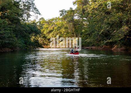 Zwei Freunde Kanufahren auf einem breiten Fluss in Belize Stockfoto