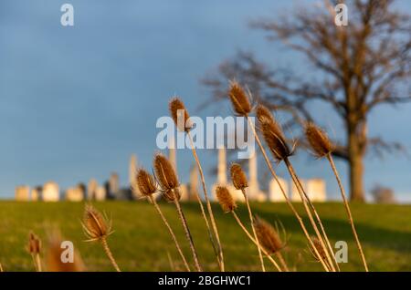 Dramatische Endtagesszenen vom Brown Cemetery, der 1848 in Middlesex County gedreht wurde Stockfoto