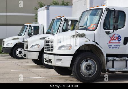 XLR8 Lieferflotte LKW Reihen sich mit Fokus auf Vordergrund. Texas Transport Unternehmen gegründet im Jahr 2017 und im Besitz von Gulf Coast Crating. Stockfoto