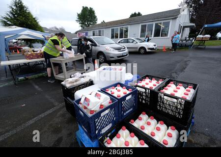 Portland, USA. April 2020. Freiwillige geben am 21. April 2020 in der C3 Church Food Pantry in Portland, Oregon, Essen für Bedürftige. Die Speisekammer hat die Nachfrage verdreifacht als Folge des neuartigen Coronavirus, aber dank großzügiger Spenden von größeren Lebensmittelgeschäften konnten sie weiterhin einen wesentlichen Gemeinwohl bieten. (Foto: Alex Milan Tracy/Sipa USA) Quelle: SIPA USA/Alamy Live News Stockfoto