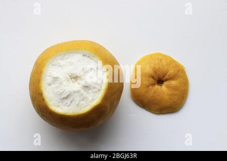 Pomelo oder bekannt als Citrus maxima oder Citrus grandis isoliert vor weißem Hintergrund Stockfoto