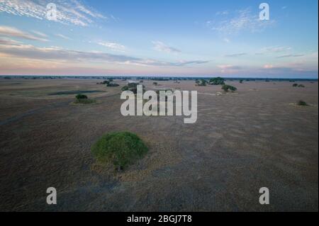 Busanga Plains ist ein exklusives Safari-Ziel im Kafue National Park, North Western Province, Sambia. Stockfoto