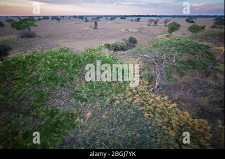 Busanga Plains ist ein exklusives Safari-Ziel im Kafue National Park, North Western Province, Sambia. Stockfoto
