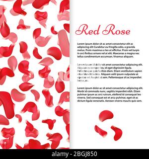 Rote Rosenblätter Banner oder Flyer Poster Vektor Vorlage Illustration Stock Vektor