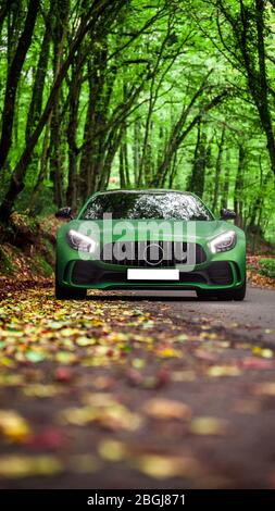 Grüner Sportwagen im dunklen Wald, fahren auf den Herbst Blätter Stockfoto