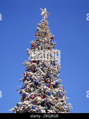 Dekorierter Weihnachtsbaum im Freien, Los Angeles, Kalifornien, Vereinigte Staaten von Amerika Stockfoto