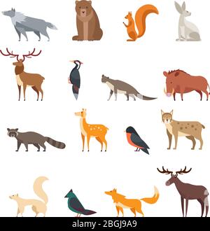 Wald wilde Tiere und Vögel Cartoon Vektor-Set isoliert. Flachhirsch, Bär, Kaninchen, Eichhörnchen, Wolf, Fuchs, Waschbär, Eule. Wild Wald Tier, Zeichentrickfigur Sammlung Illustration Stock Vektor