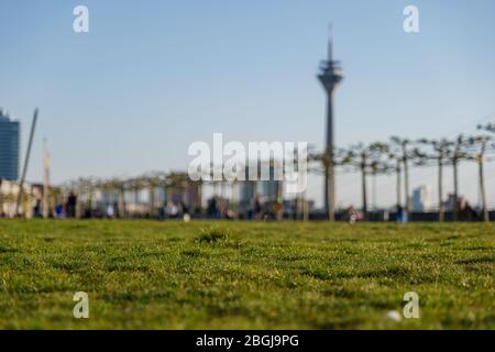 Niedriger Winkel, Nahaufnahme und Makroansicht auf Grasfeld mit unscharfen Hintergrund der Promenade am Rheinufer, Rheinturm und sonnigem Himmel. Stockfoto