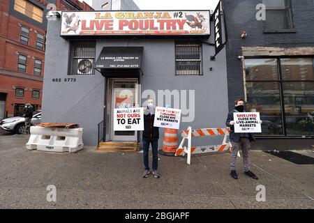 New York City, USA. April 2020. Zwei PETA-Anhänger halten Protestschilder vor La Granja Live Poultry, einem Markt für lebende Tiere, der auch als „Feuchtmarkt“ bezeichnet wird, im Harlem-Teil von New York City, NY, 21. April 2020. Tierrechtsgruppen fordern die Schließung aller Feuchtmärkte, weil sie glauben, dass sie Hunde für Krankheiten züchten, wie das neuartige Coronavirus (COVID-19), das von einem Feuchtmarkt in Wuhan, China, berichtet wurde. (Anthony Behar/Sipa USA) Credit: SIPA USA/Alamy Live News Stockfoto