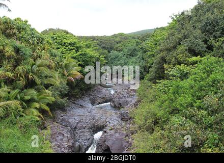 Die sieben heiligen Pools, Oheo Gulch, gebildet durch den Palikea Strom, der durch vulkanisches Gestein fließt, umgeben von Regenwald im Kipahulu District, Maui Stockfoto