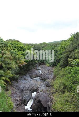 Die sieben heiligen Pools, Oheo Gulch, gebildet durch den Palikea Strom, der durch vulkanisches Gestein fließt, umgeben von Regenwald im Kipahulu District, Maui Stockfoto