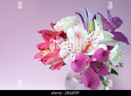 Schöne bunte Alstroemeria Blüten in voller Blüte mit grünen Blättern. . Peruanische Lilie. Blumenstrauß auf rosa Hintergrund. Stockfoto