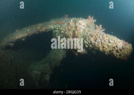 HMAS Perth (D29) Wrack Foto 03 im Oktober 2015. Stockfoto