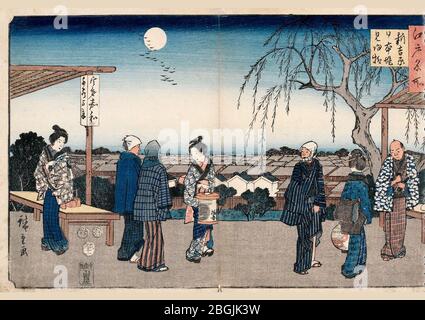 Shin Yoshiwara (Shin yoshiwara nihonzutsumi mikaeri yanagi), (Edo meisho). Stockfoto