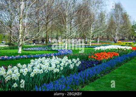 Gärten und Touristen, Keukenhof Gärten in der Nähe von Lisse, Niederlande Stockfoto