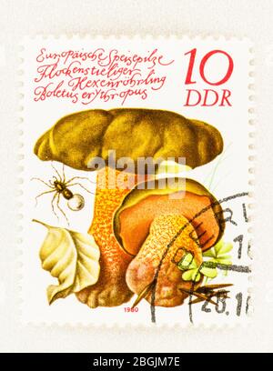 SEATTLE WASHINGTON - 20. April 2020: Nahaufnahme der Briefmarke mit Boletus erythropus, Flake gestielter Bolete, einem essbaren europäischen Pilz. Scott # 2138 Stockfoto